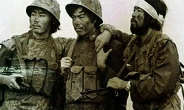 我们和越南同志加兄弟，为何走到互相残杀的地步？